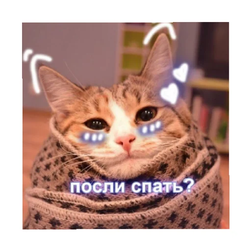 Стікер For every occasion 2 😴