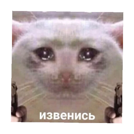 Стикер For every occasion 2 🥺