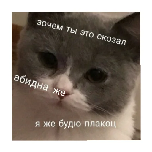 Стикер For every occasion 2 😢