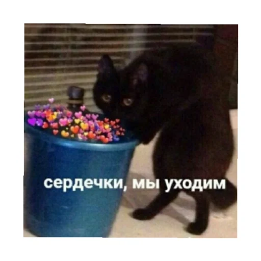 Стикер For every occasion 2 😢
