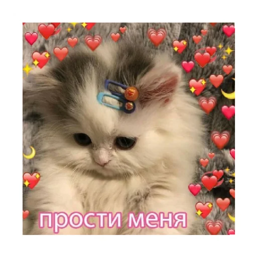Стікер For every occasion 2 🥺