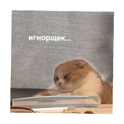 Стікер For every occasion 4 😒