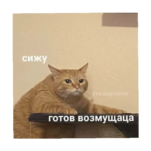 Стікер For every occasion 4 😠