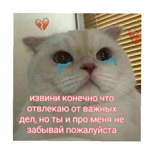 Стікер For every occasion 4 😭