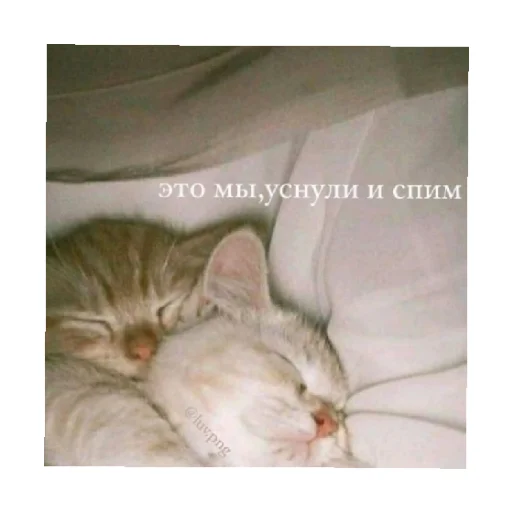 Стікер For every occasion 4 😴