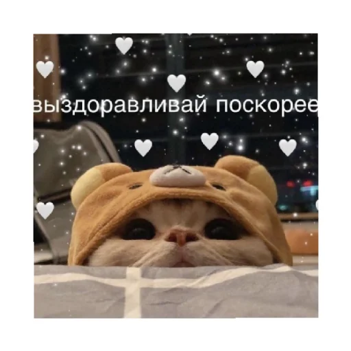 Стикер For every occasion 4 🥺