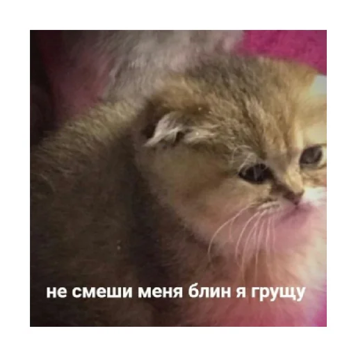 Стикер For every occasion 4 😔
