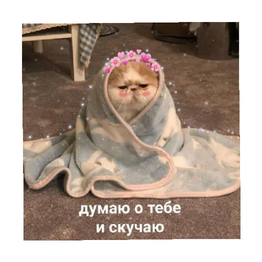 Стікер For every occasion 4 😔