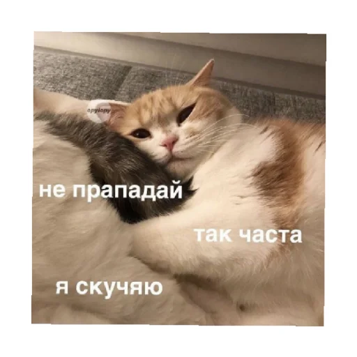 Стікер For every occasion 5 🥺