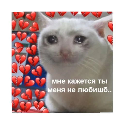 Стікер For every occasion 5 💔