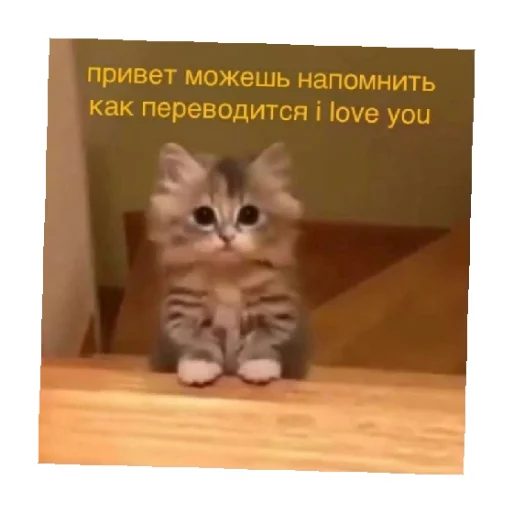 Стікер For every occasion 5 ❤️