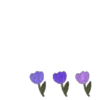 Purple emoji 💋