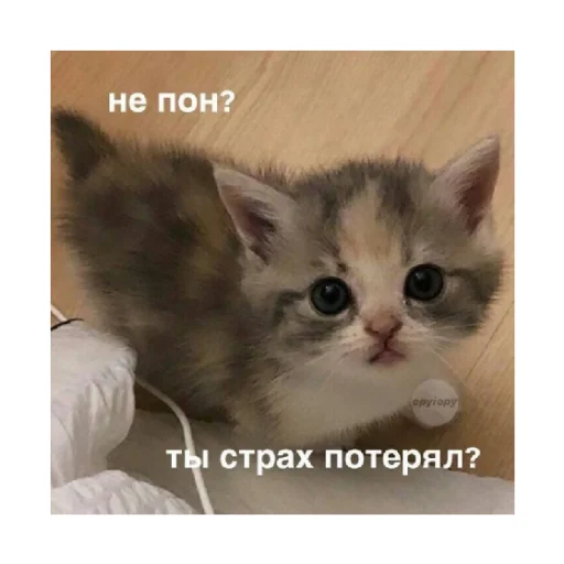 Стикер For every occasion 😠