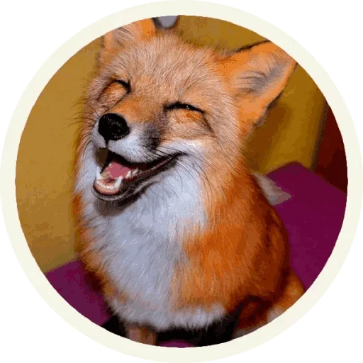 Foxx for Telegram  sticker 😚