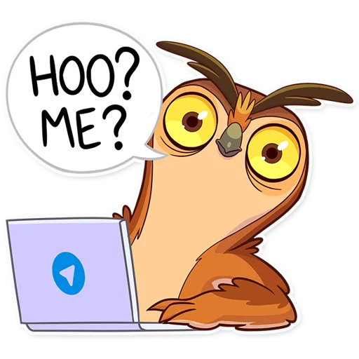 Freelance Owl sticker 😶
