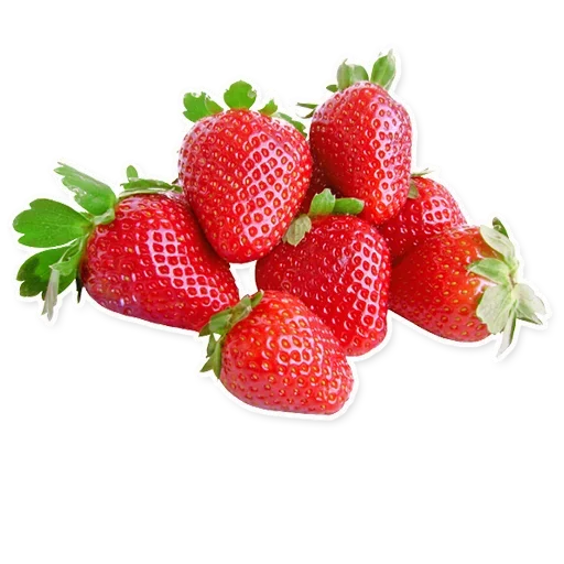 Fruits stiker 🍓