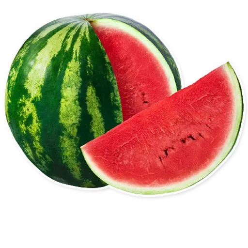 Fruits sticker 🍉