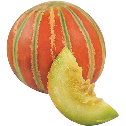 Fruits sticker 🍈