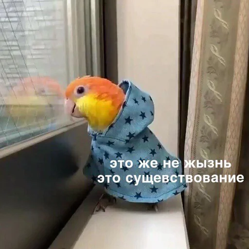 Эмодзи Parrots 🦠