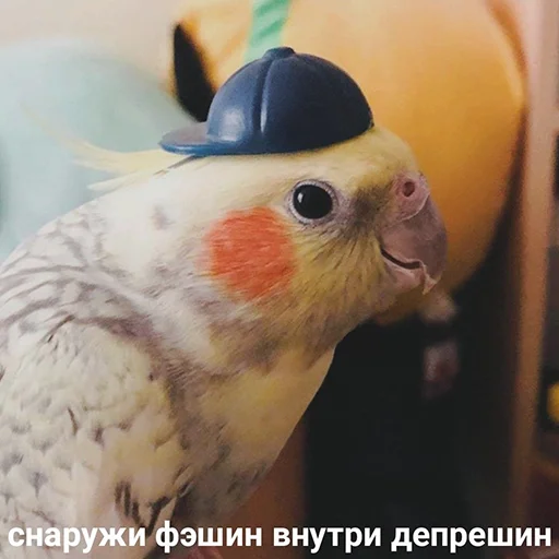 Эмодзи Parrots 😎