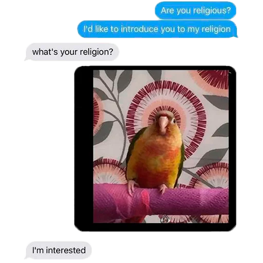 Telegram Sticker «Parrots» ❔