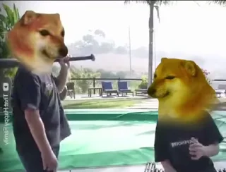 Fuck off Dogs Videostickers emoji 😩
