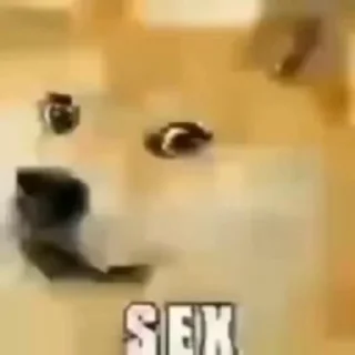 Fuck off Dogs Videostickers emoji 😕
