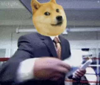 Fuck off Dogs Videostickers emoji 💵