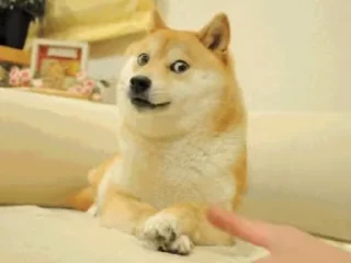 Fuck off Dogs Videostickers emoji 🙄