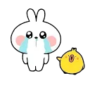 Funny Bunny emoji 😭