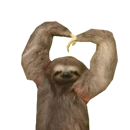 Telegram stickers Funny Sloth