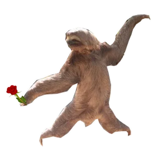 Telegram Sticker «Funny Sloth» ?