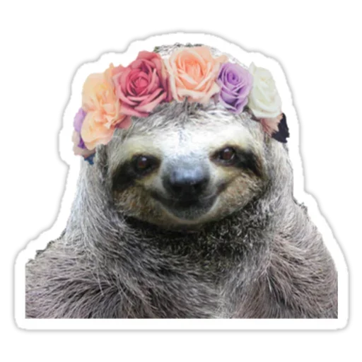 Telegram stiker «Funny Sloth» ?