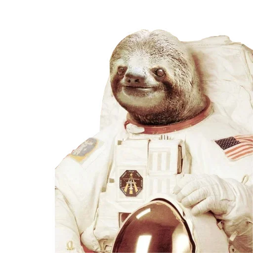 Стикер Telegram «Funny Sloth» ?