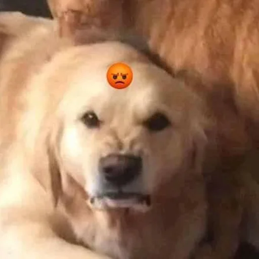 Файні звірятка №2 emoji 😡