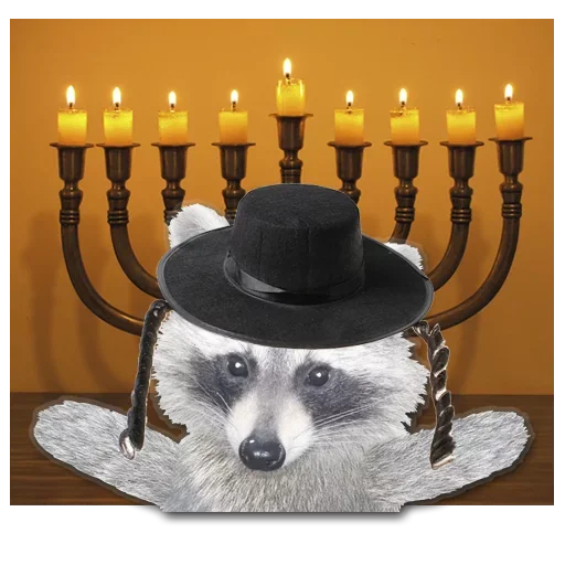 Емодзі famous racoon 🤪