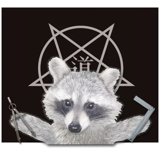 Емодзі famous racoon 🤪