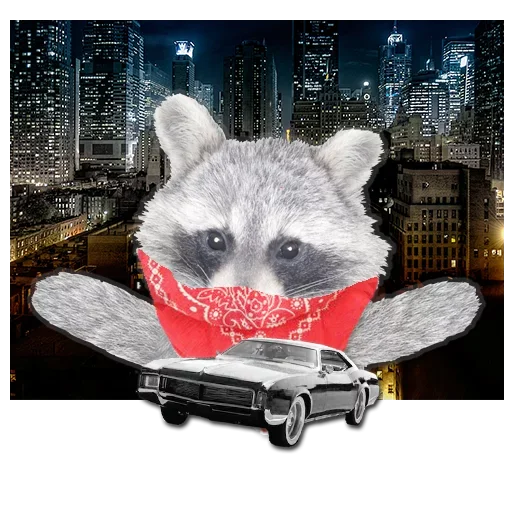 Емодзі famous racoon 🤨