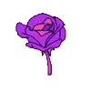Purple | Фиолетовый emoji 🌹