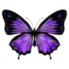 Емодзі purple 🦋