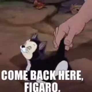 Стикер Figaro C 🤨