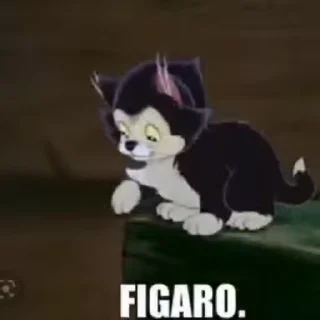 Figaro C sticker 😅