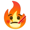 fire 1 emoji 🤒