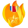 fire 3  emoji 🎖
