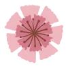 Емодзі цветочный шрифт 🌺