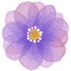 Емодзі Telegram «watercolor flowers» 🌼