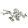 Эмодзи телеграм blossom
