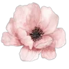 Емодзі телеграм blossom