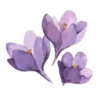 Эмодзи Flowers | Цветы 💜