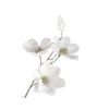 Емодзі Flowers | Цветы 🤍